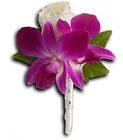 Fresh in Fuchsia Boutonniere from Olney's Flowers of Rome in Rome, NY